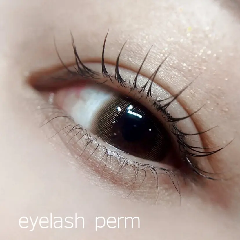 成増北口PRADE saiの掲載