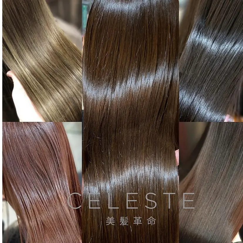 吉田 小百合の掲載