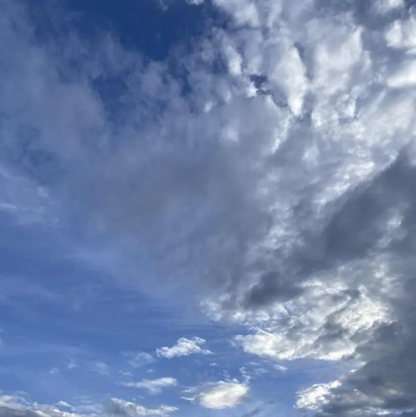 ANELA仙台駅東口 nihei🍋の掲載