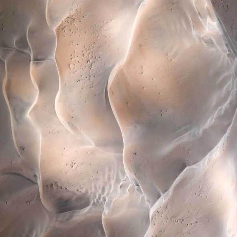 jute nail 〈ジュートネイル〉の掲載