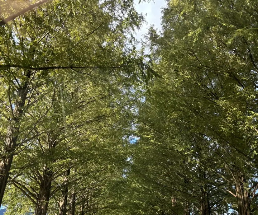 有木 咲良の掲載