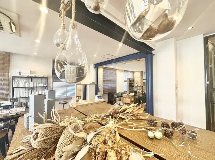 加藤 有希子の掲載