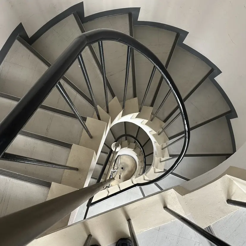 natsumi zenshoの掲載