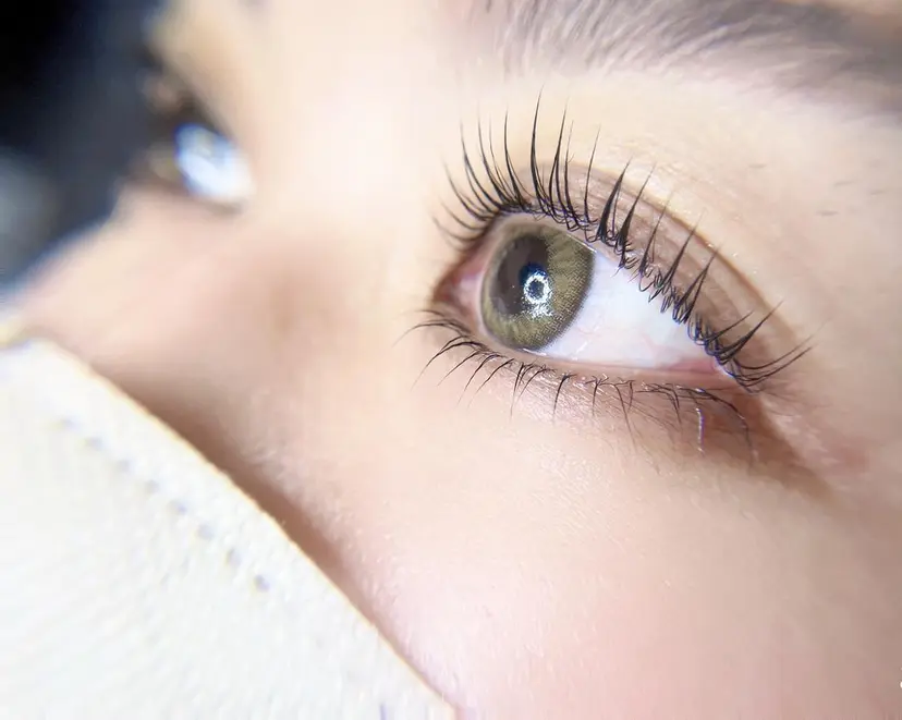 elche ホシノ サラの掲載