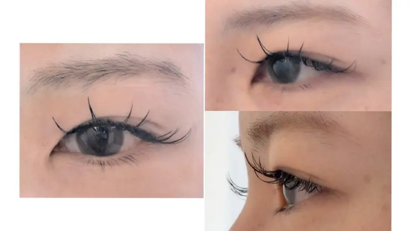 ANEMONA 龍河の掲載