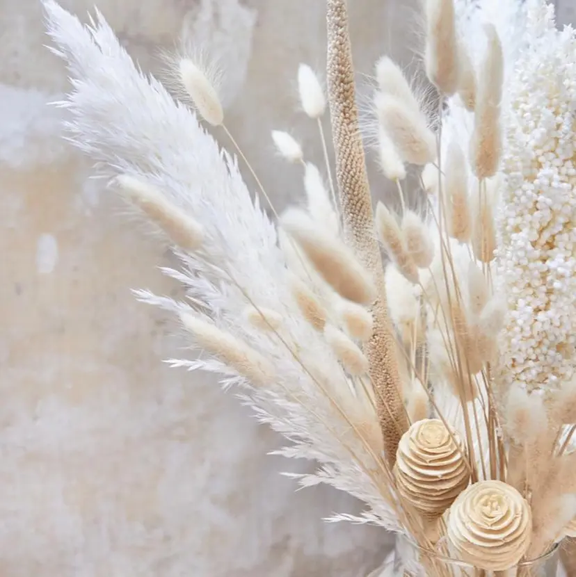 felice nailの掲載