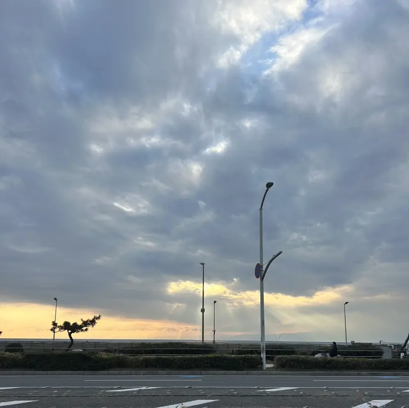 Rei /渋谷の掲載