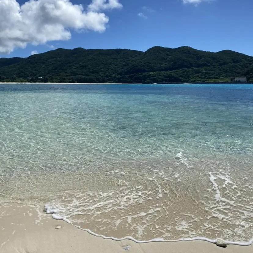 艶カラー/白髪染め/ 相談🙆‍♀️/高瀬の掲載