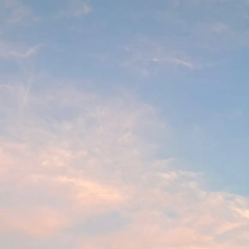 kotone / toneの掲載