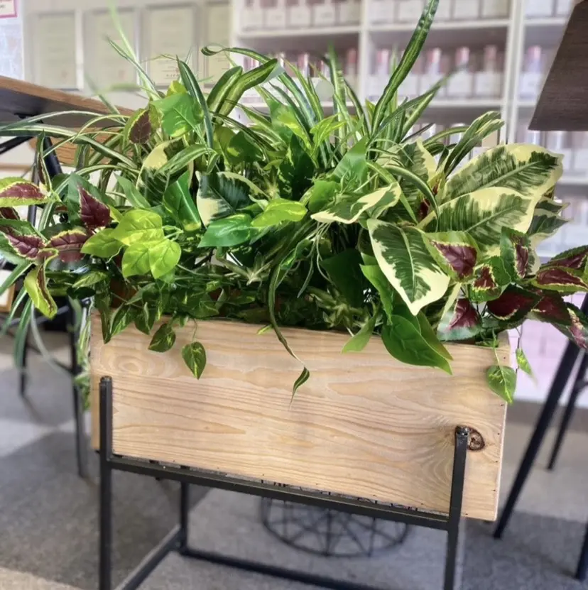 関根 沙弥香の掲載