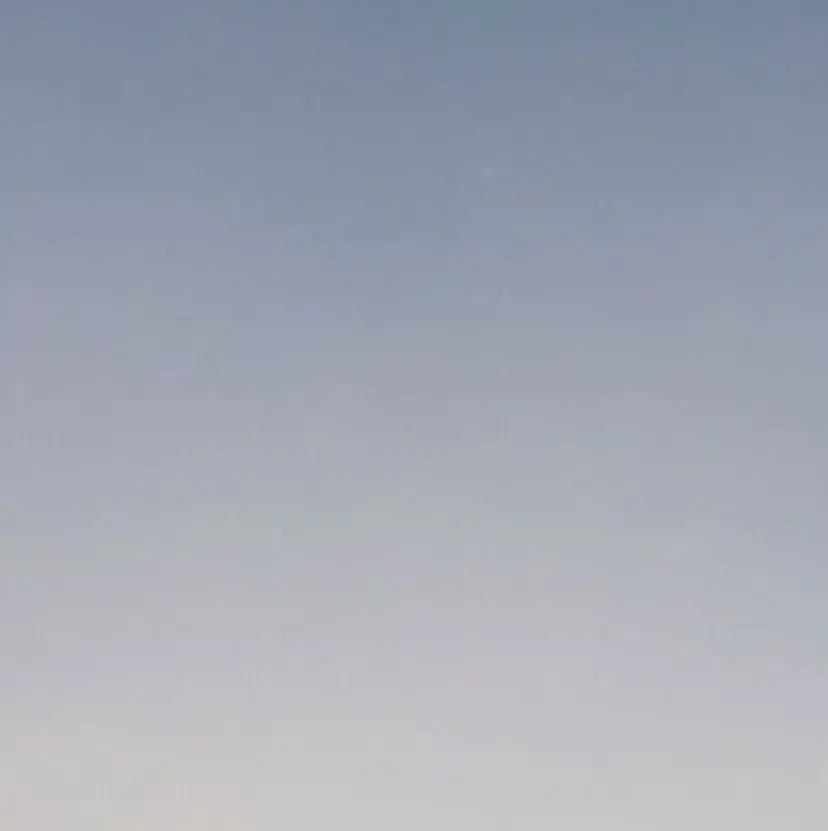 小澤 真帆の掲載