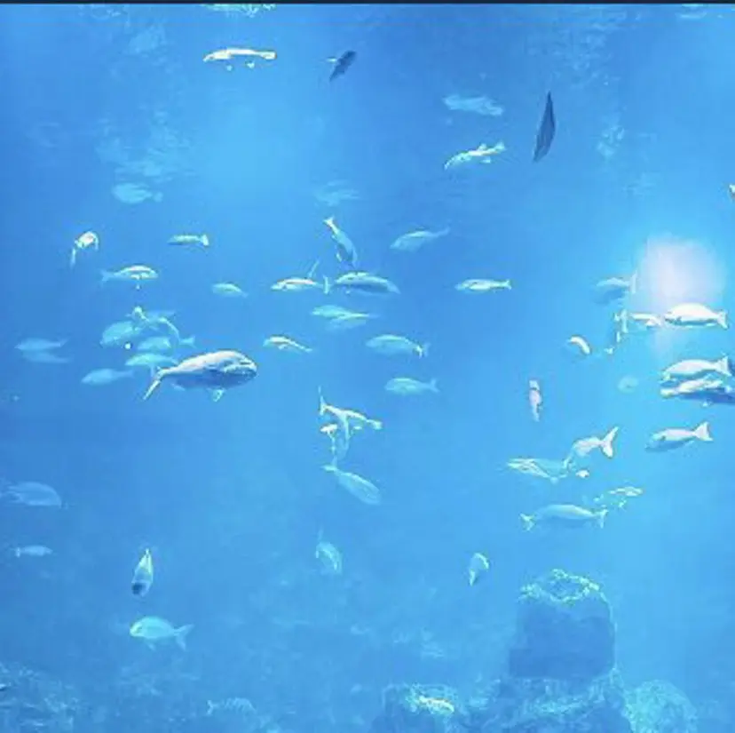 垣内 大輔の掲載