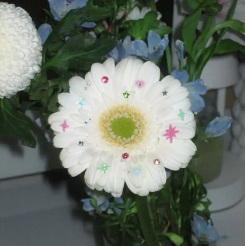 中山 摩亜の掲載