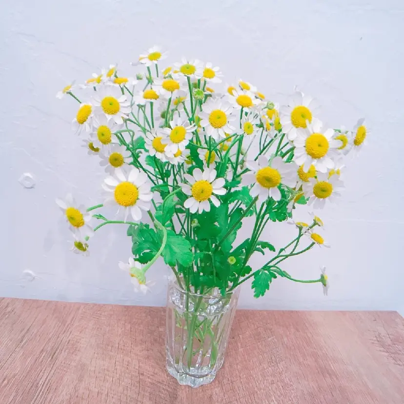 LEGA🥨 obataの掲載