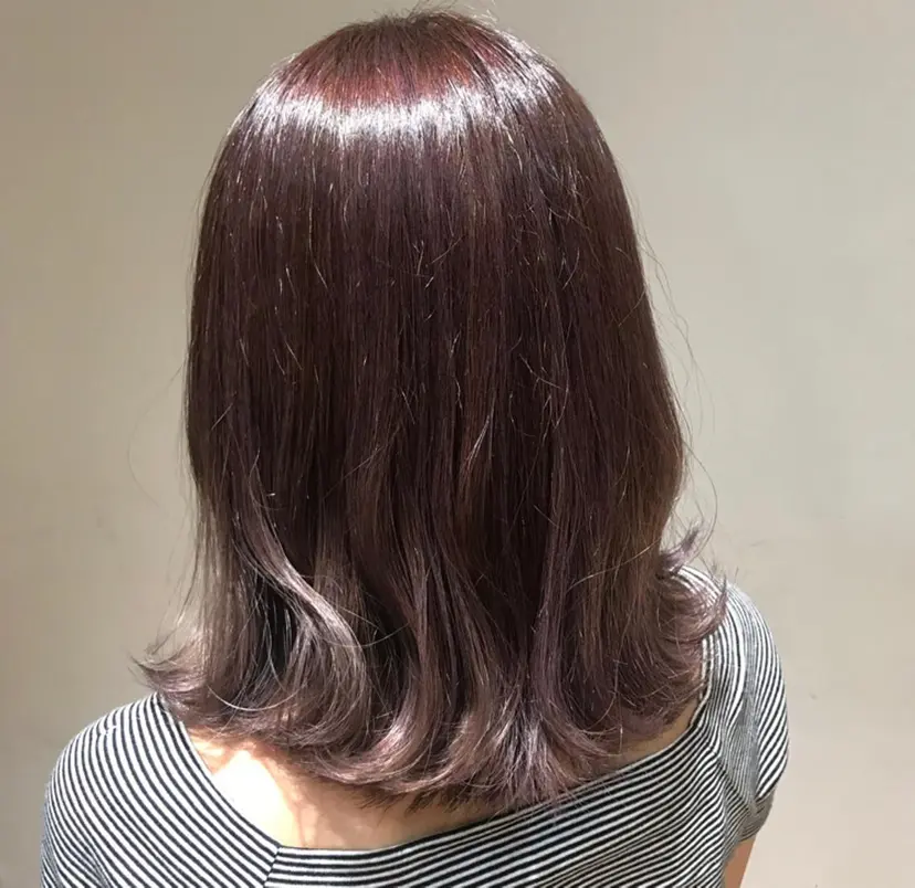 関根 陽平の掲載