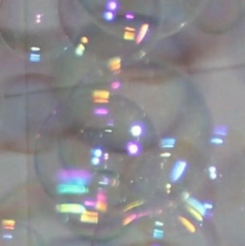 和田 咲乃の掲載