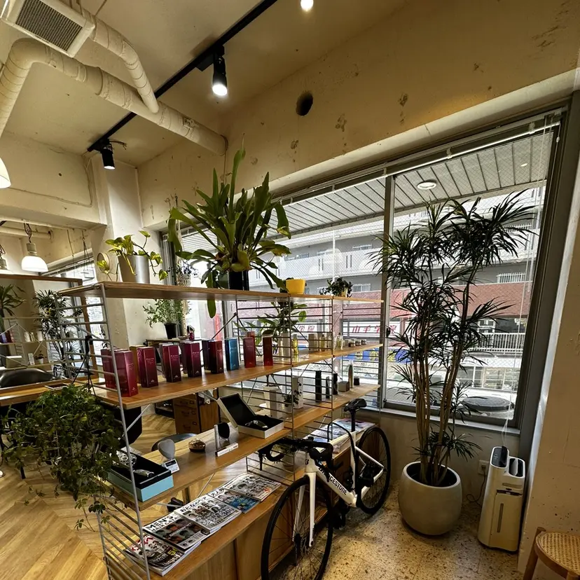 ハマベ イクト FLORENの掲載