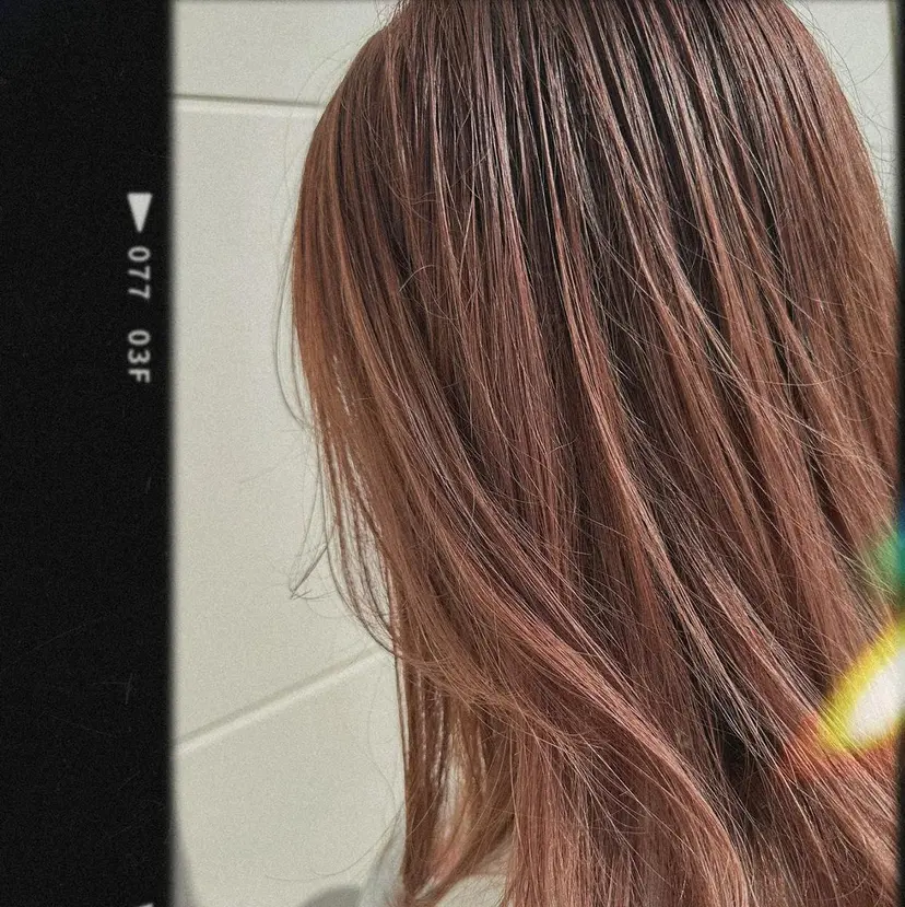 岩村 夏姫の掲載