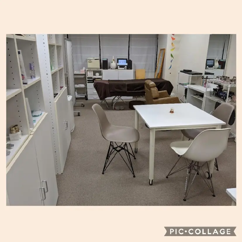 堀田 智子の掲載