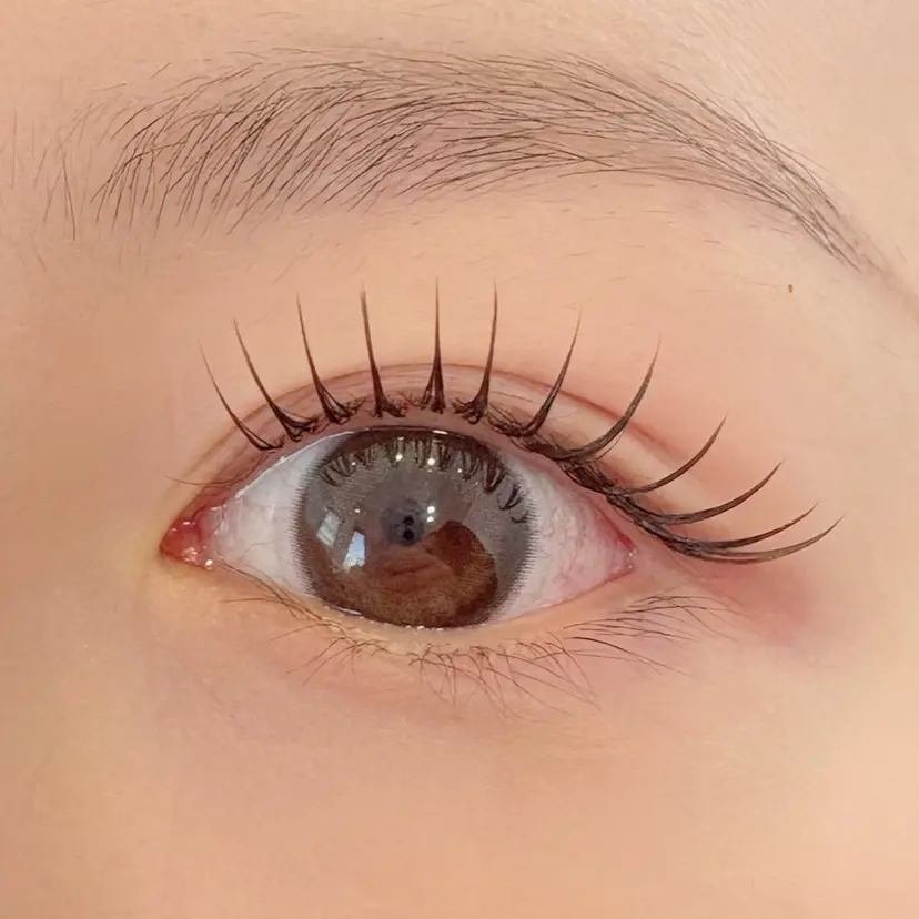 Vie  Ange erikaの掲載