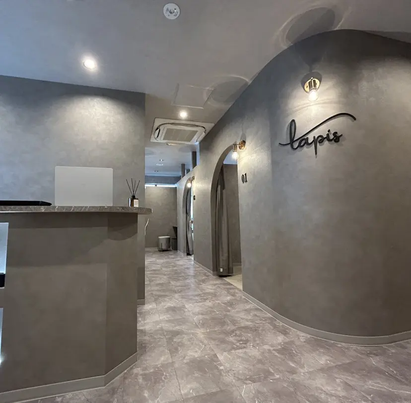 LAPIS 東神奈川の掲載