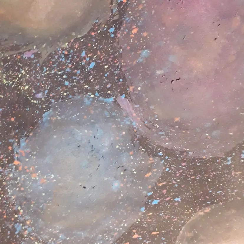 植田 沙那の掲載