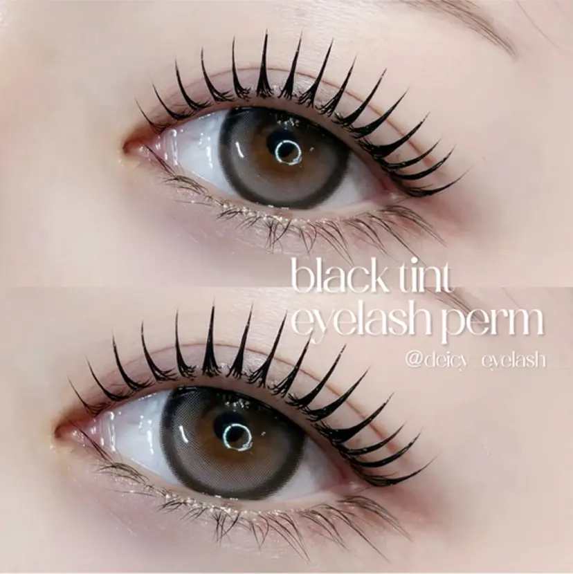 deicy 表参道の掲載