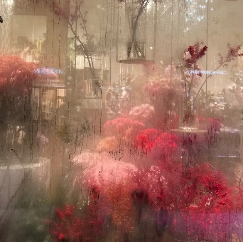 新居 孝姫の掲載