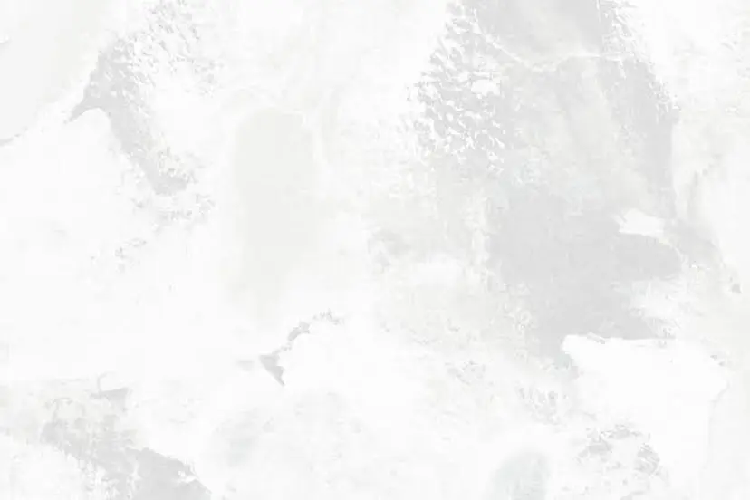 白杉 えりの掲載