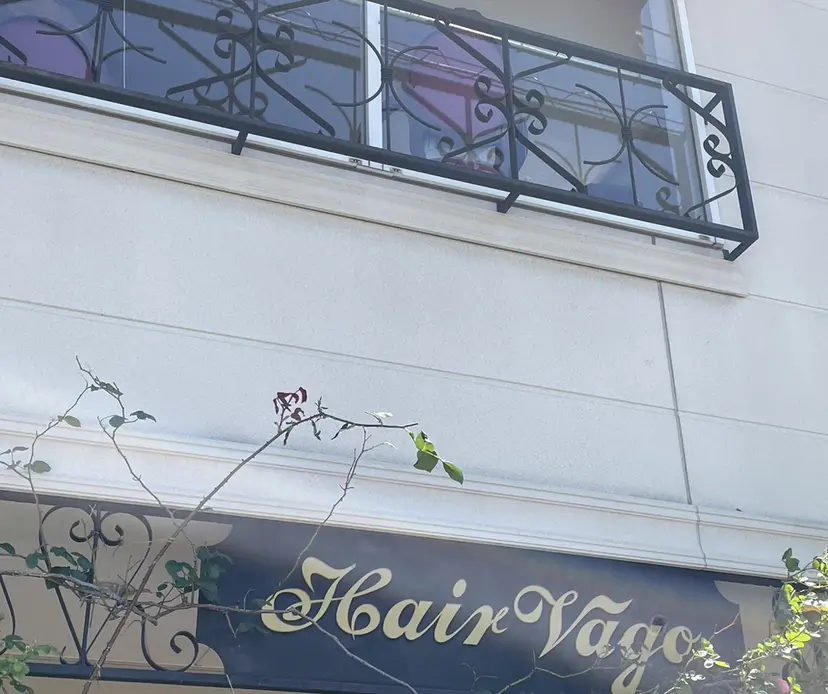 いしかわ あいみの掲載