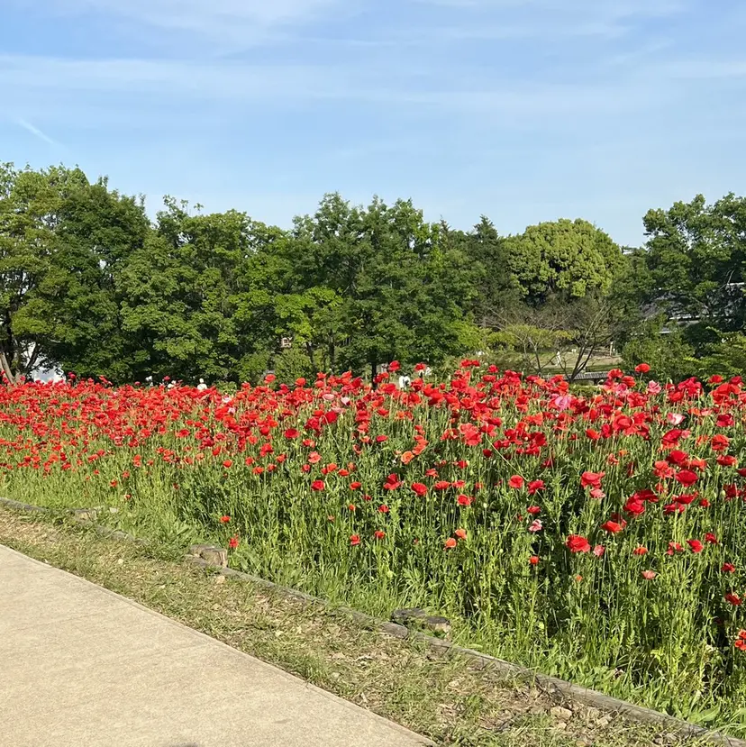 mizuho ‎۶ৎパーマ専門の掲載
