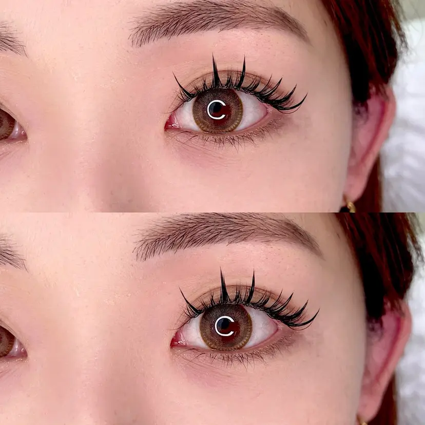 pollo 【ポロ】の掲載