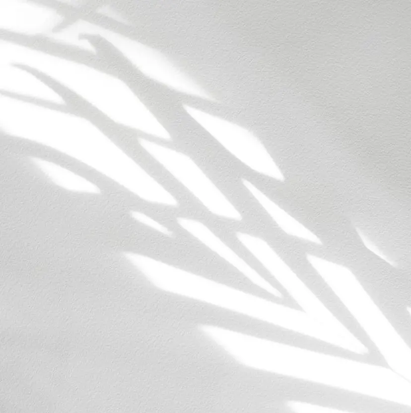 ✴︎shui ✴︎の掲載