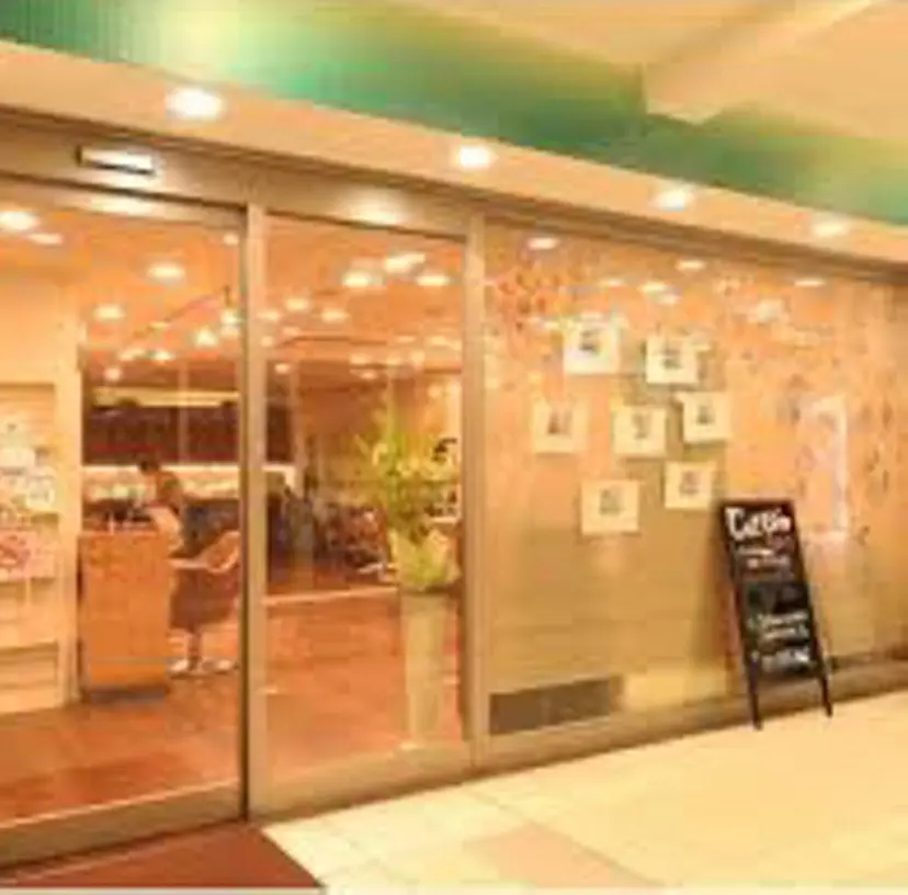 井上 悠人の掲載