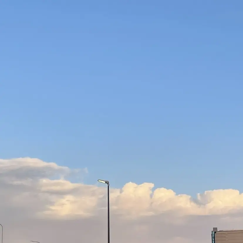 GPIP 近藤沙樹の掲載