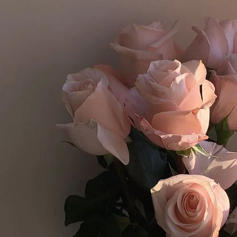 高岡/EARTH みお/シールエクステの掲載