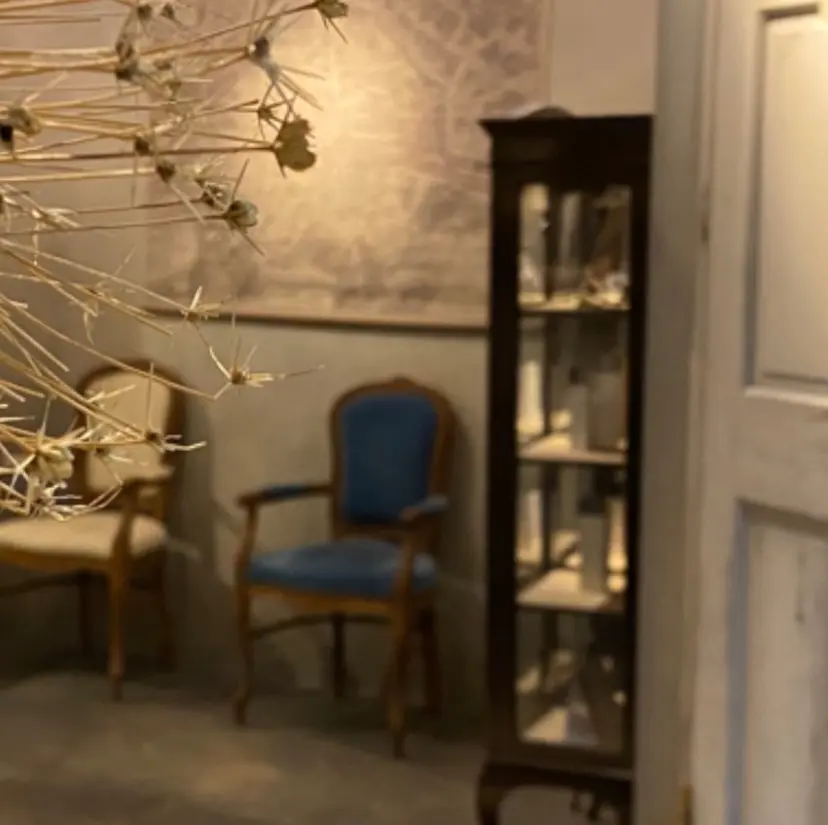 🦭☪️Azumiボ ブ/レイヤー☪️🦭の掲載