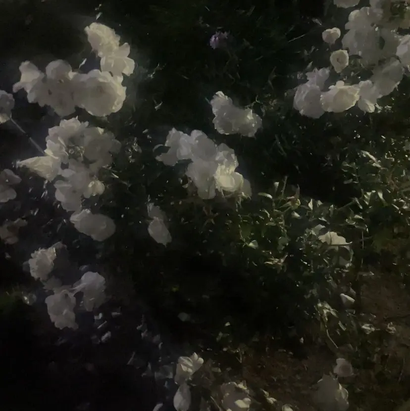 Putynail池袋 ちひろの掲載