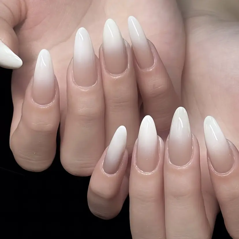 MayandWay jrの掲載