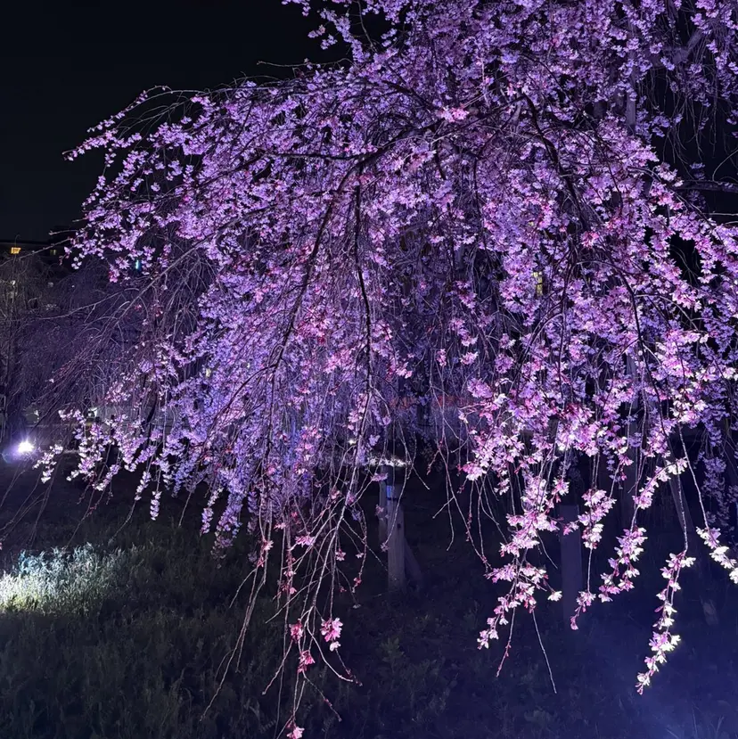 水野新葉 【縮毛矯正】の掲載