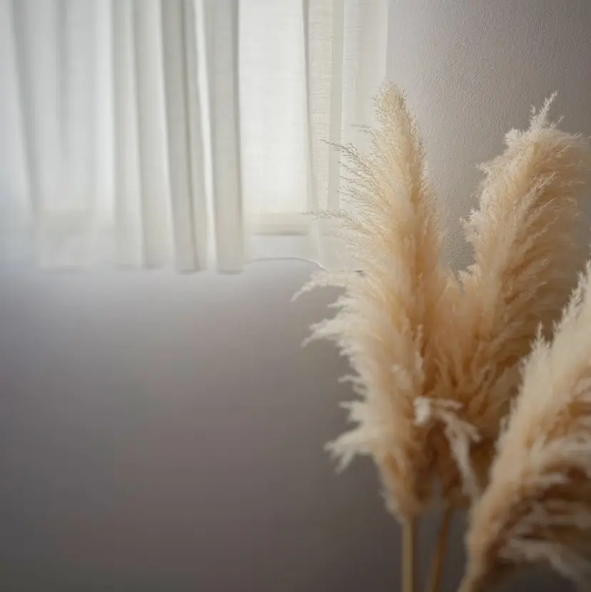 ごとう めぐみの掲載