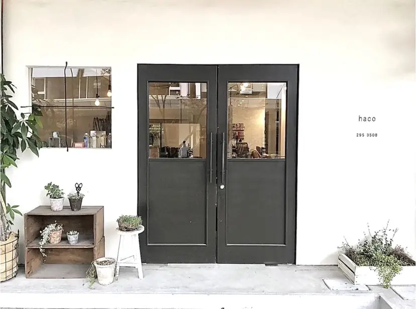 haco 永森 藍莉🎀の掲載