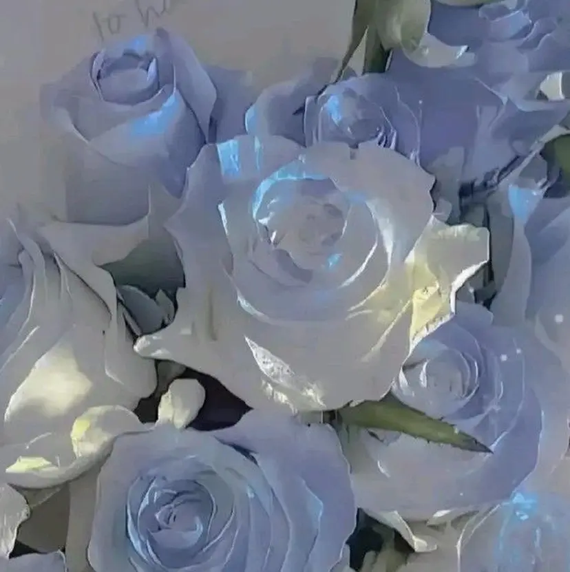 メイ /SARAJUの掲載