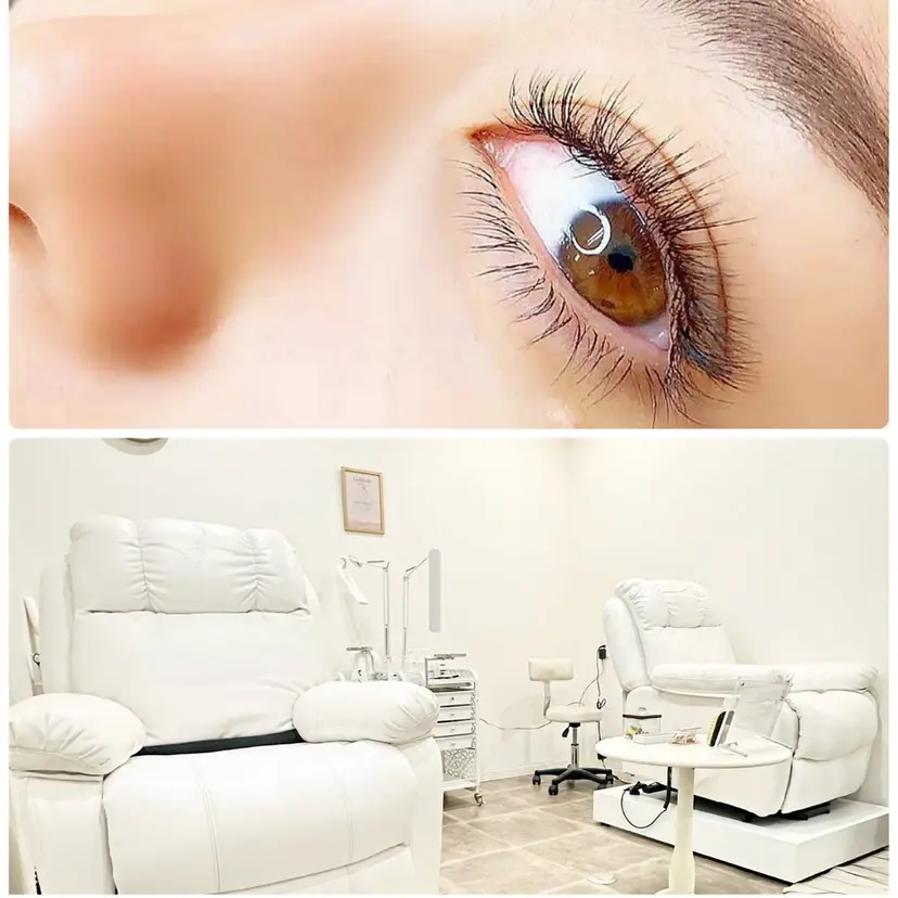 eyelash R𓇼eri🐈️の掲載