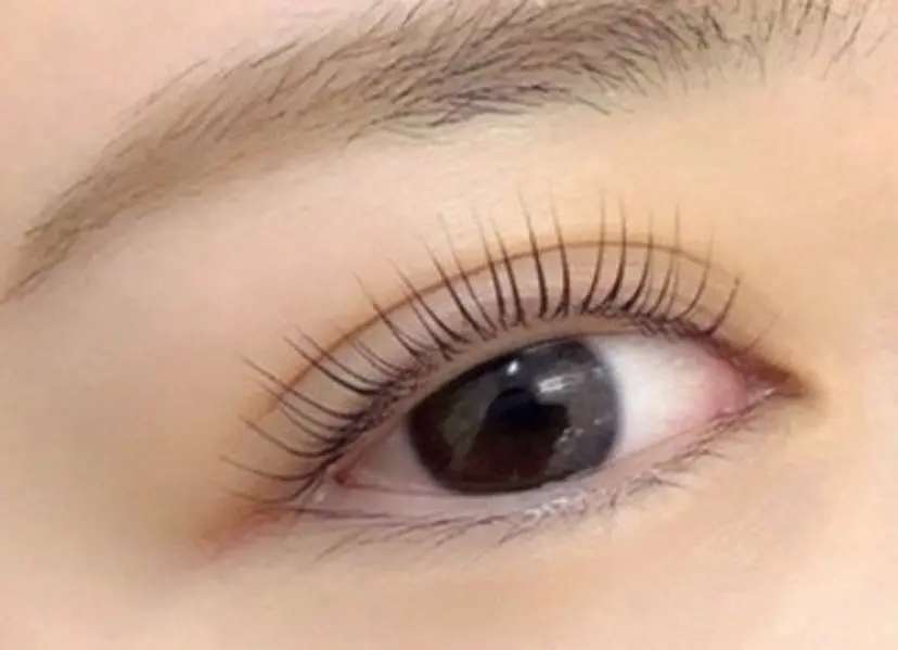 マリーテレジア ナガノ★の掲載