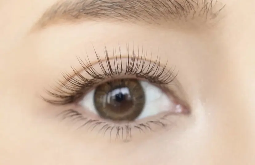 SalondeRei EMIの掲載