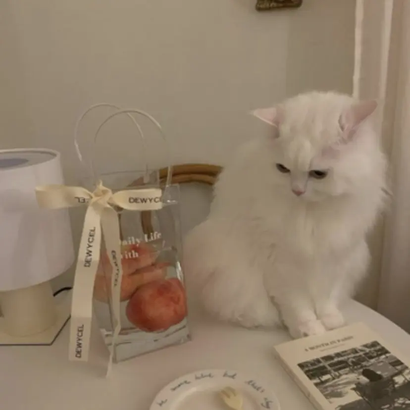 honoka ￤モデル様募集中￤の掲載