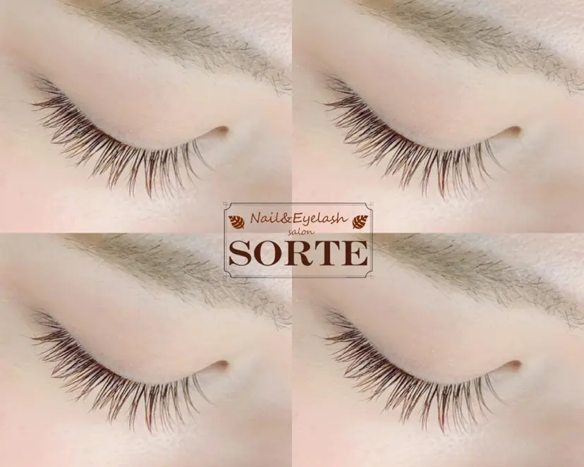 Eyelash SORTEの掲載