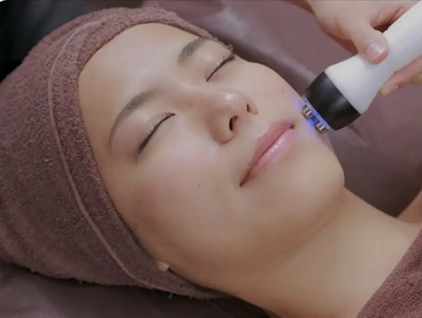 鹿野 記子の掲載