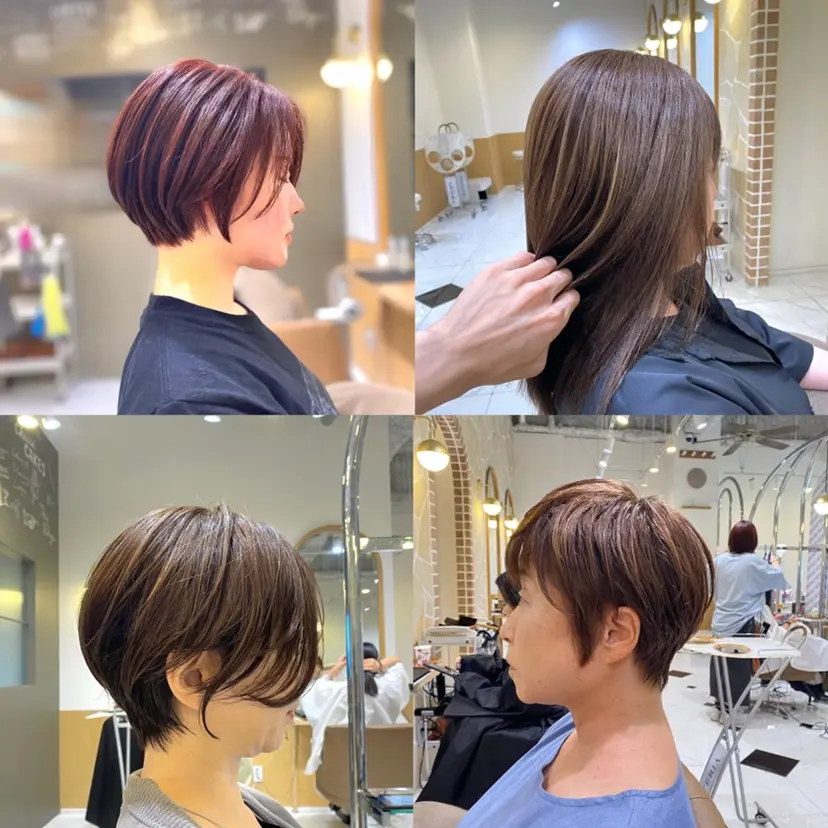 坂井 茅聖の掲載